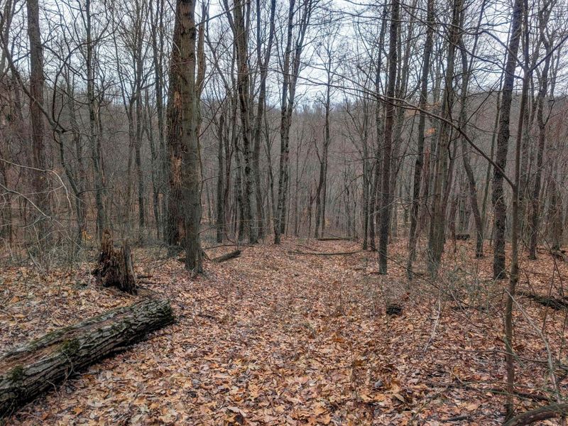 0 Tract 8 Barber Ridge Rd , Lewisville, OH 43754 Photo 31