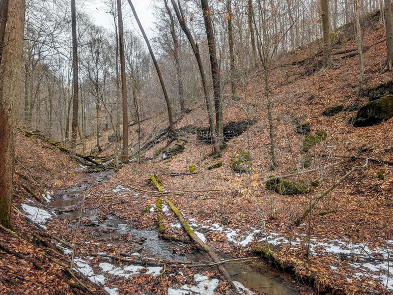 0 Tract 8 Barber Ridge Rd , Lewisville, OH 43754 Photo 32