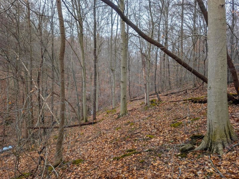 0 Tract 8 Barber Ridge Rd , Lewisville, OH 43754 Photo 9