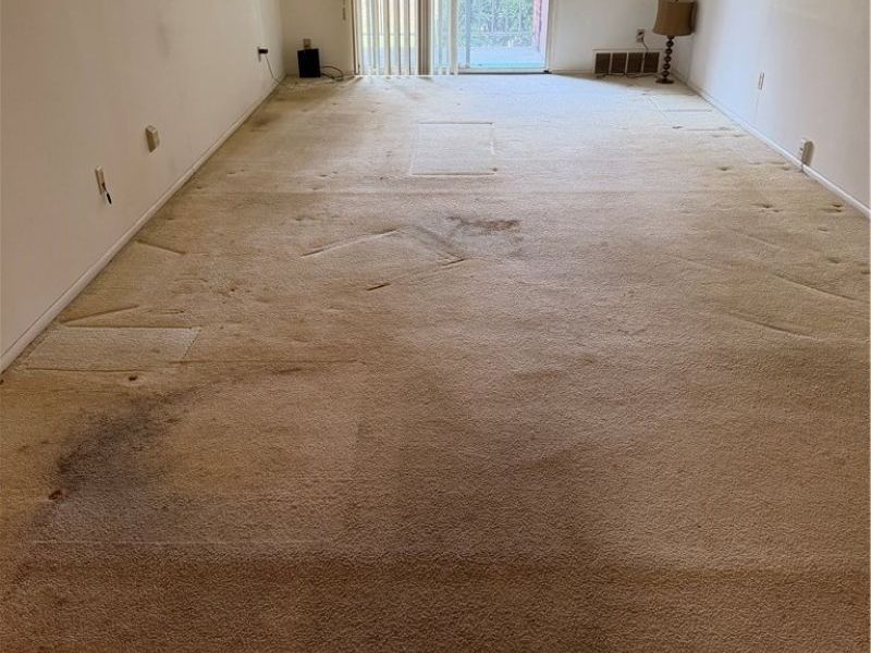 4179 Columbia Road, North Olmsted, OH 44070 Photo 15