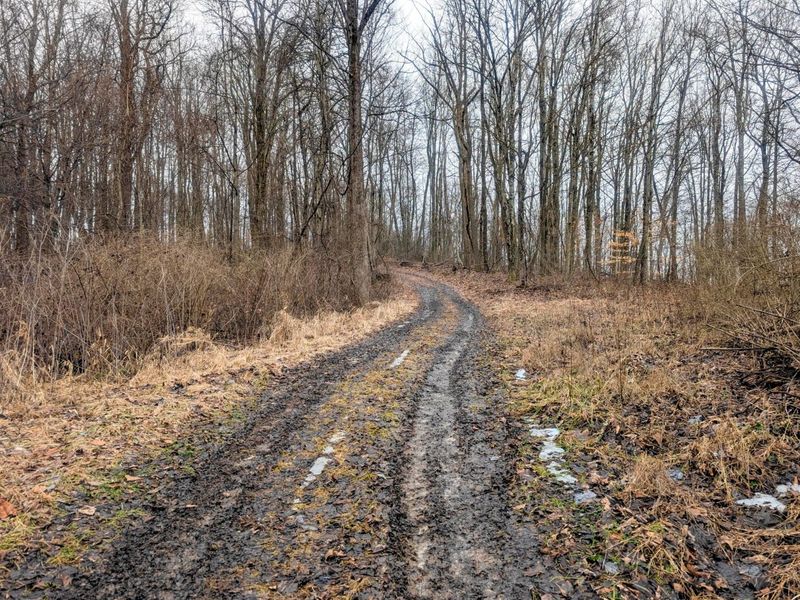 0 Tract 9 Township Road 272 , Lewisville, OH 43754 Photo 10