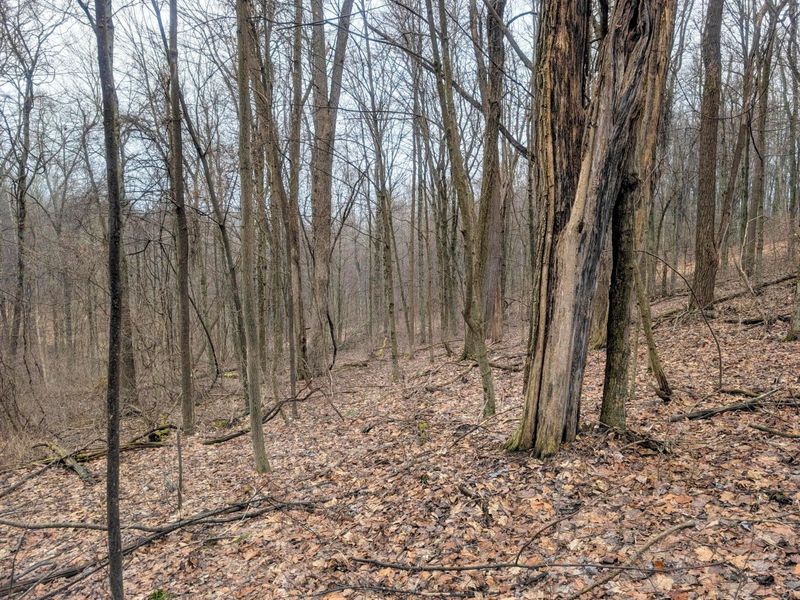 0 Tract 9 Township Road 272 , Lewisville, OH 43754 Photo 11