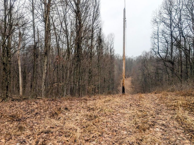 0 Tract 9 Township Road 272 , Lewisville, OH 43754 Photo 12