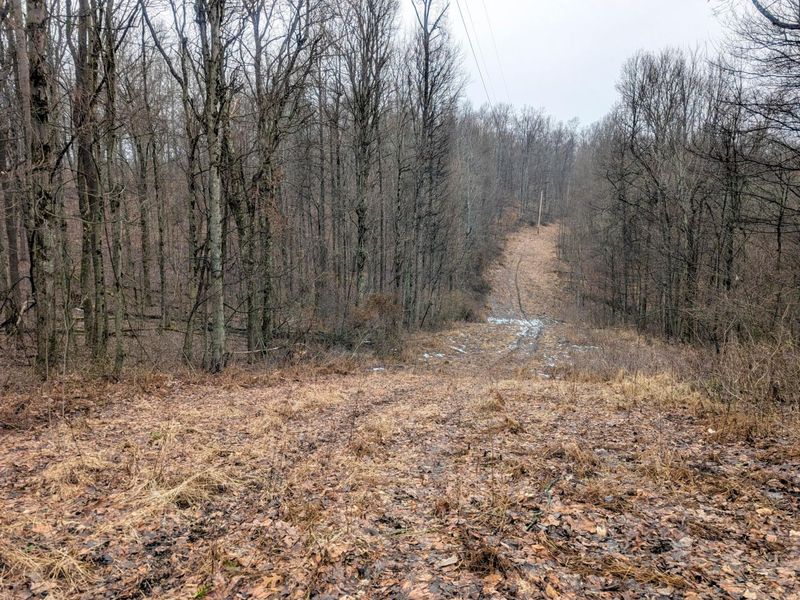 0 Tract 9 Township Road 272 , Lewisville, OH 43754 Photo 13