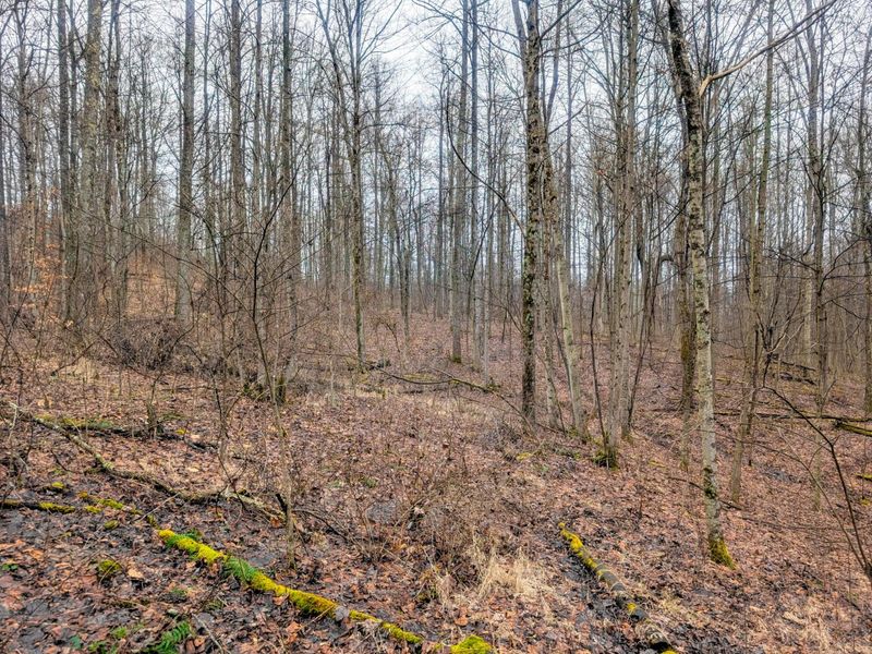 0 Tract 9 Township Road 272 , Lewisville, OH 43754 Photo 17