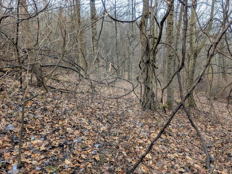 0 Tract 9 Township Road 272 , Lewisville, OH 43754 Photo 18