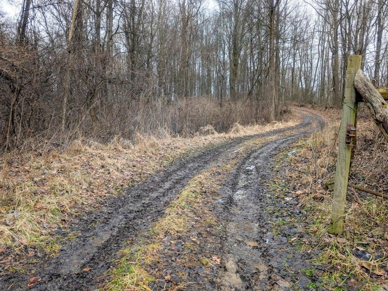 0 Tract 9 Township Road 272 , Lewisville, OH 43754 Photo 19