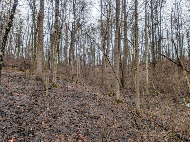 0 Tract 9 Township Road 272 , Lewisville, OH 43754 Photo 20