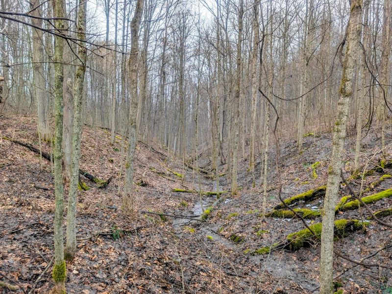 0 Tract 9 Township Road 272 , Lewisville, OH 43754 Photo 21