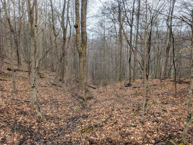 0 Tract 9 Township Road 272 , Lewisville, OH 43754 Photo 22