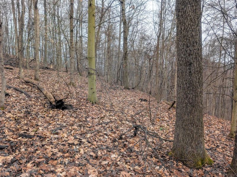 0 Tract 9 Township Road 272 , Lewisville, OH 43754 Photo 23