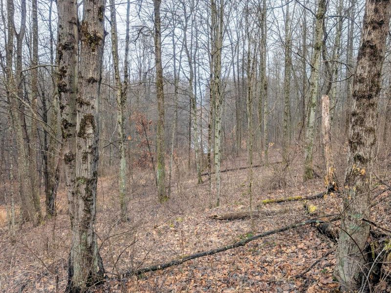 0 Tract 9 Township Road 272 , Lewisville, OH 43754 Photo 4