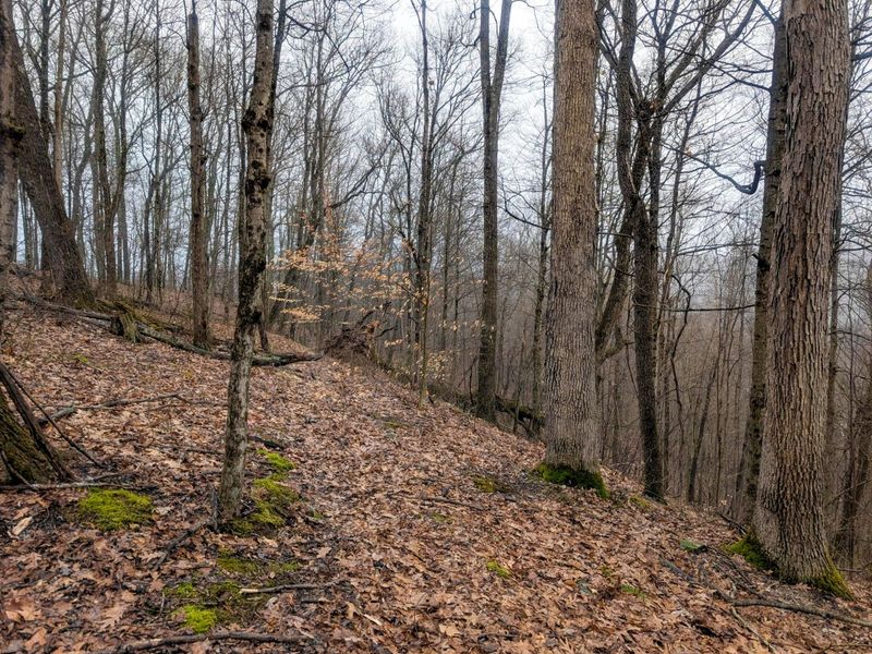 0 Tract 9 Township Road 272 , Lewisville, OH 43754 Photo 6