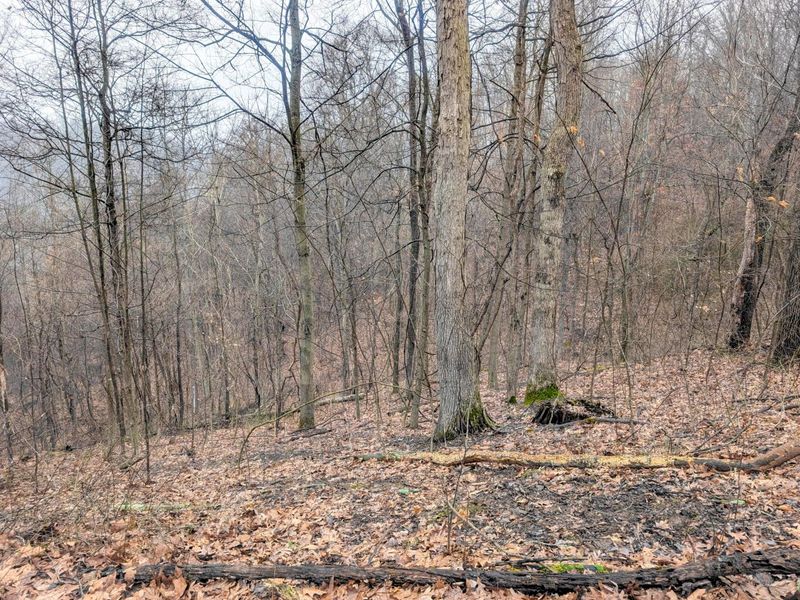 0 Tract 9 Township Road 272 , Lewisville, OH 43754 Photo 7