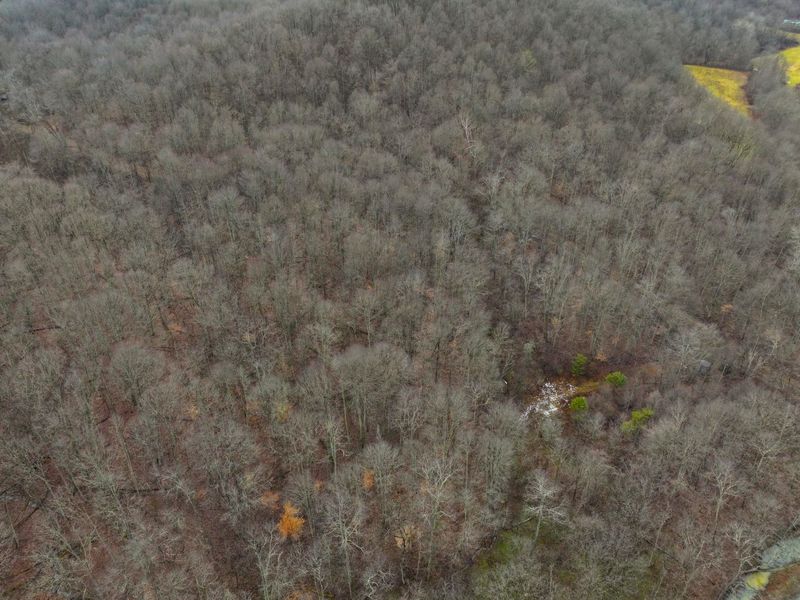 0 Tract 10 Kuhn Run , Lewisville, OH 43754 Photo 10