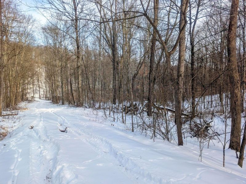 0 Tract 10 Kuhn Run , Lewisville, OH 43754 Photo 11