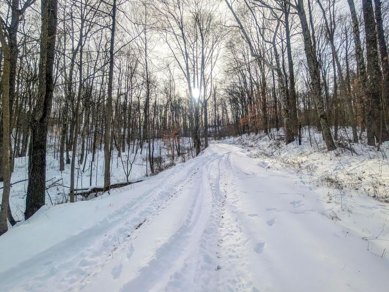 0 Tract 10 Kuhn Run , Lewisville, OH 43754 Photo 12