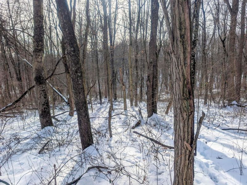 0 Tract 10 Kuhn Run , Lewisville, OH 43754 Photo 15