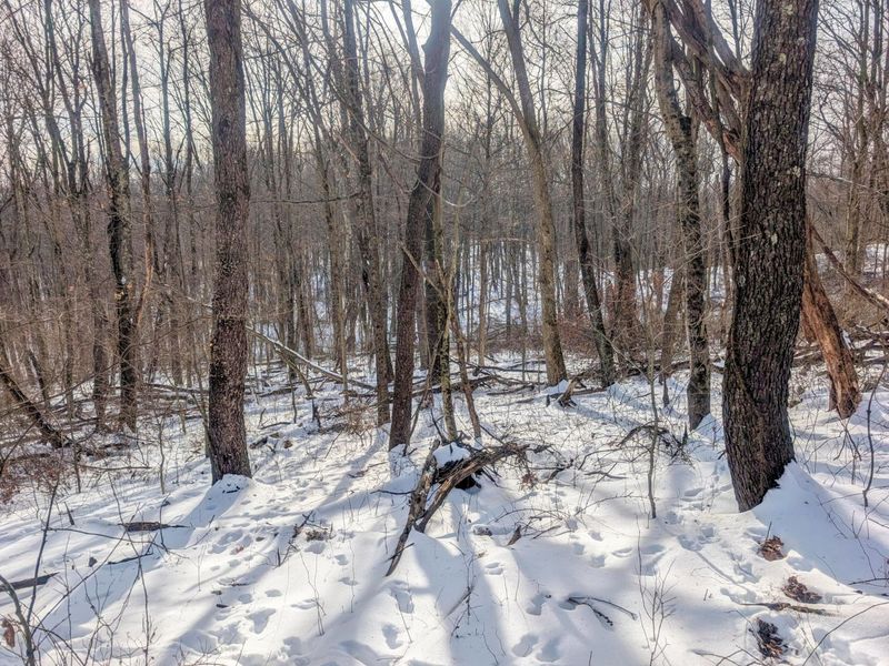 0 Tract 10 Kuhn Run , Lewisville, OH 43754 Photo 16