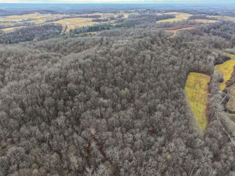 0 Tract 10 Kuhn Run , Lewisville, OH 43754 Photo 18