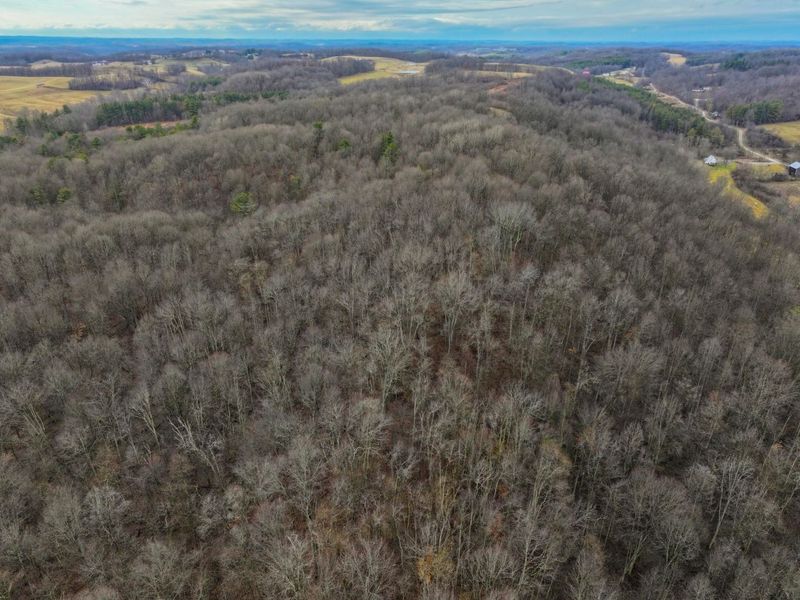 0 Tract 10 Kuhn Run , Lewisville, OH 43754 Photo 19