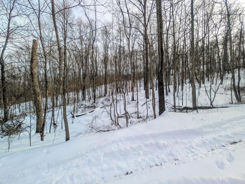 0 Tract 10 Kuhn Run , Lewisville, OH 43754 Photo 21