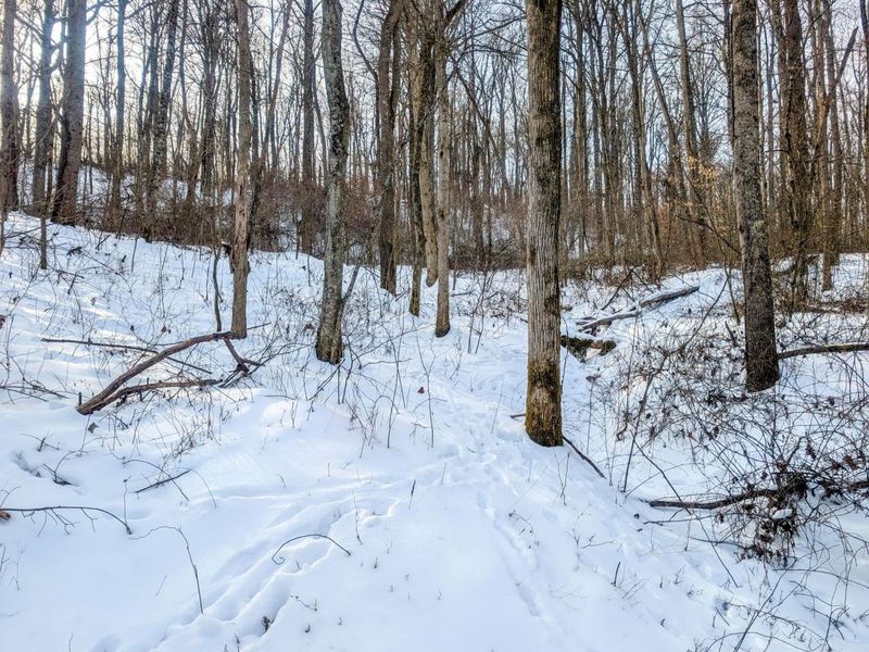 0 Tract 10 Kuhn Run , Lewisville, OH 43754 Photo 22