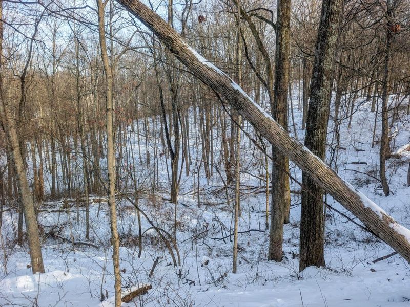 0 Tract 10 Kuhn Run , Lewisville, OH 43754 Photo 23