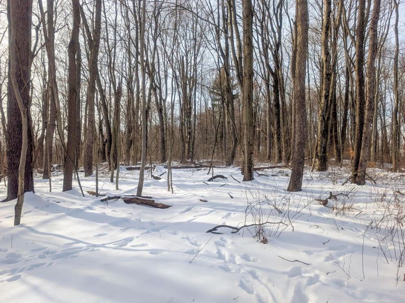 0 Tract 10 Kuhn Run , Lewisville, OH 43754 Photo 24