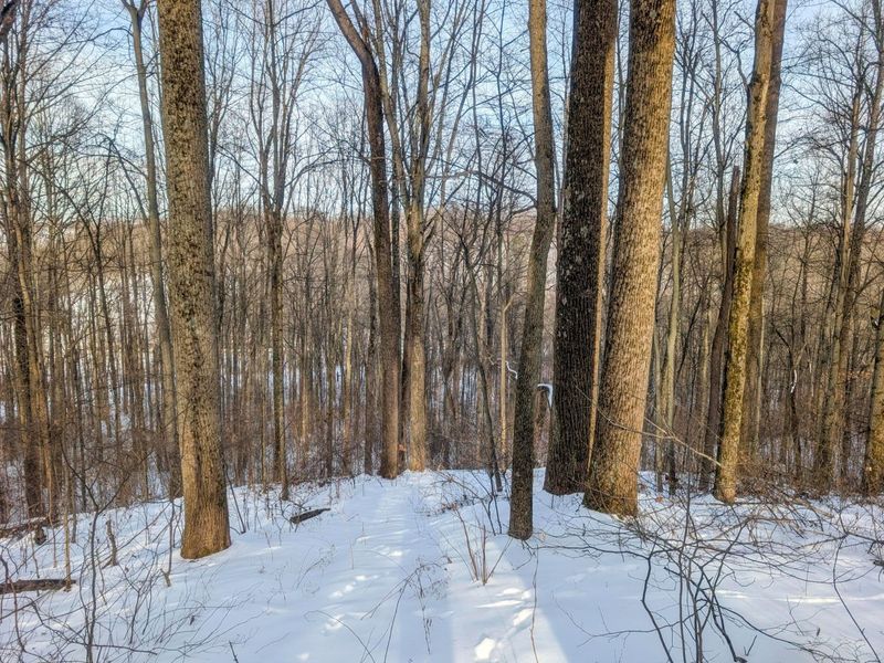 0 Tract 10 Kuhn Run , Lewisville, OH 43754 Photo 25