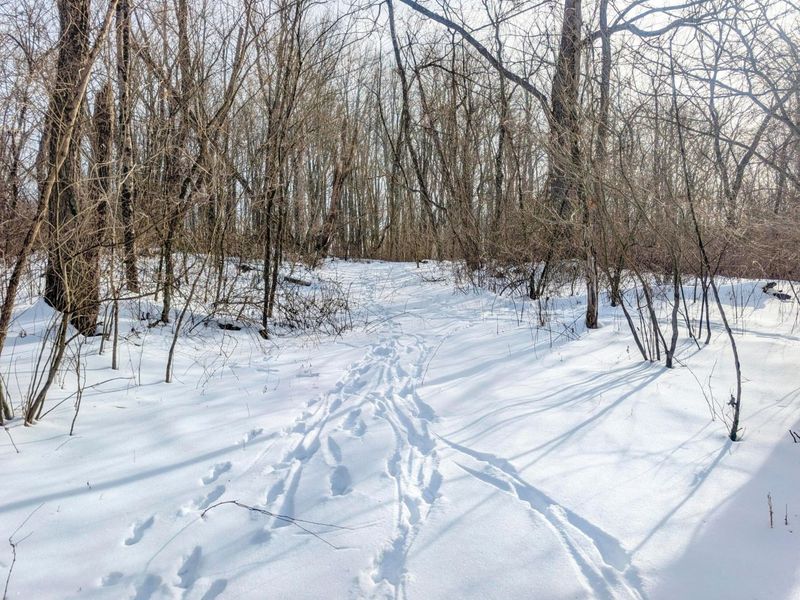 0 Tract 10 Kuhn Run , Lewisville, OH 43754 Photo 4