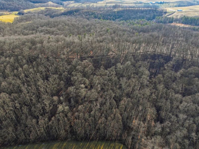 0 Tract 10 Kuhn Run , Lewisville, OH 43754 Photo 5