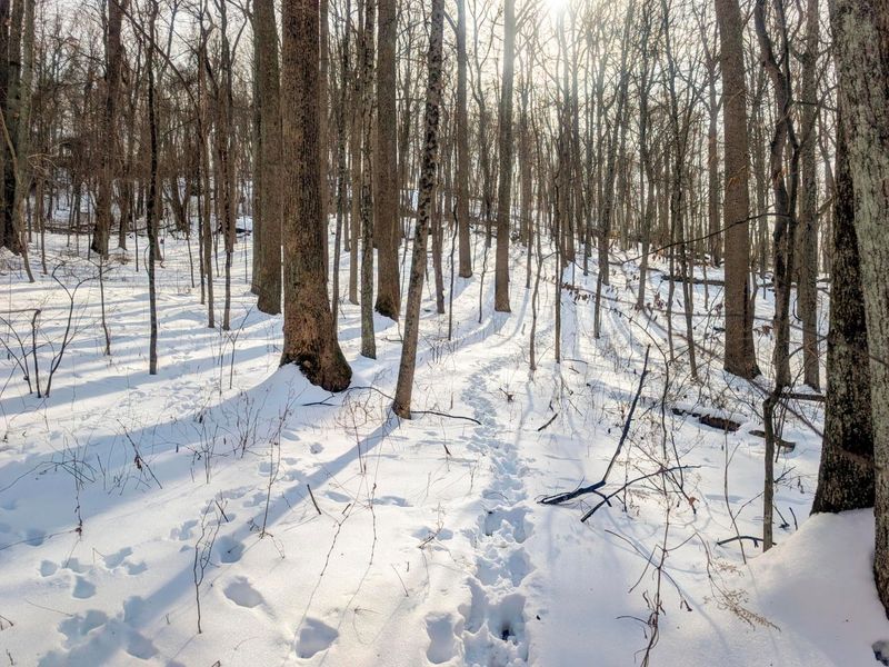 0 Tract 11 Miltonsburg-Calais , Woodsfield, OH 43793 Photo 10