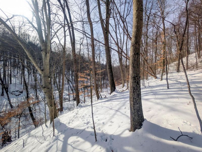 0 Tract 11 Miltonsburg-Calais , Woodsfield, OH 43793 Photo 11