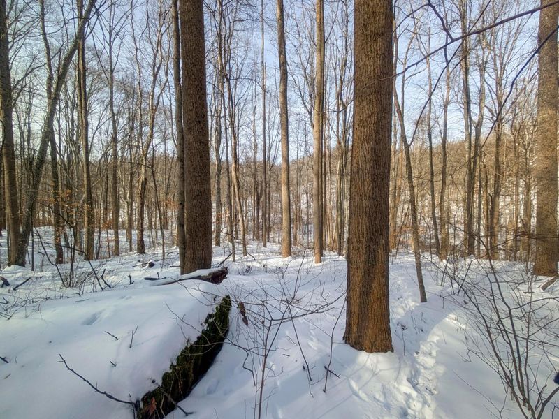 0 Tract 11 Miltonsburg-Calais , Woodsfield, OH 43793 Photo 13