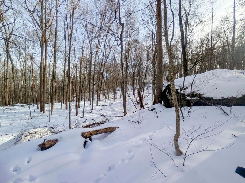 0 Tract 11 Miltonsburg-Calais , Woodsfield, OH 43793 Photo 14