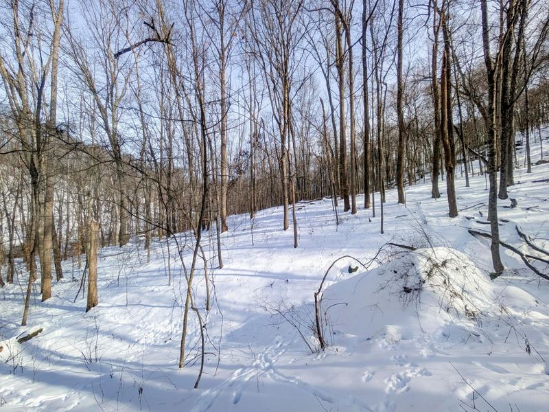 0 Tract 11 Miltonsburg-Calais , Woodsfield, OH 43793 Photo 15