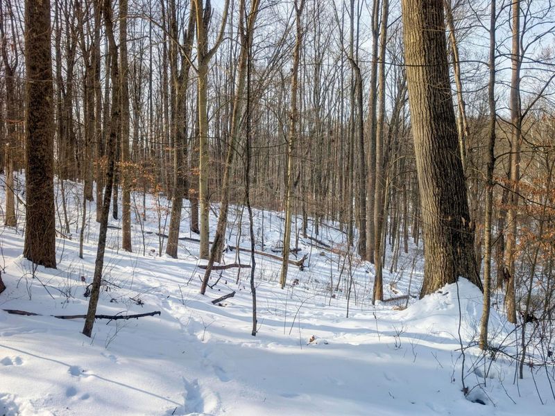 0 Tract 11 Miltonsburg-Calais , Woodsfield, OH 43793 Photo 16