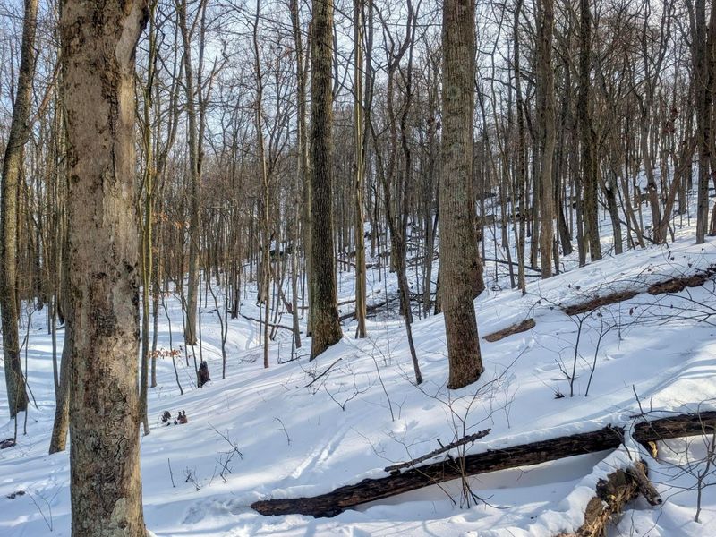 0 Tract 11 Miltonsburg-Calais , Woodsfield, OH 43793 Photo 17