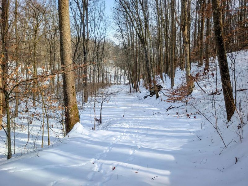 0 Tract 11 Miltonsburg-Calais , Woodsfield, OH 43793 Photo 18