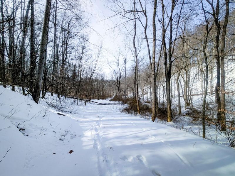 0 Tract 11 Miltonsburg-Calais , Woodsfield, OH 43793 Photo 19