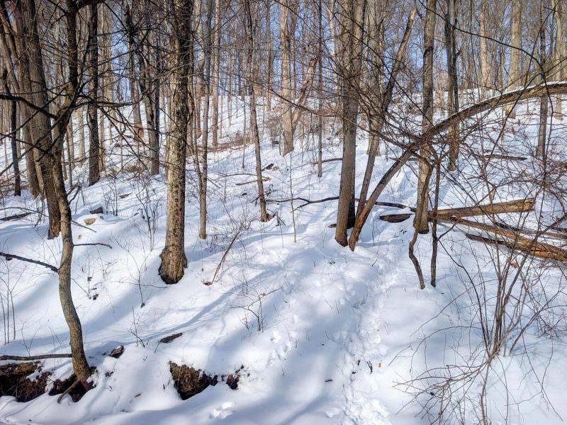 0 Tract 11 Miltonsburg-Calais , Woodsfield, OH 43793 Photo 20