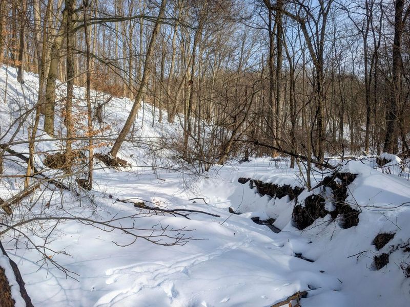 0 Tract 11 Miltonsburg-Calais , Woodsfield, OH 43793 Photo 21