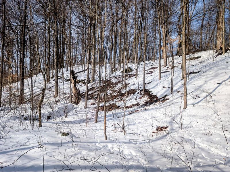 0 Tract 11 Miltonsburg-Calais , Woodsfield, OH 43793 Photo 22