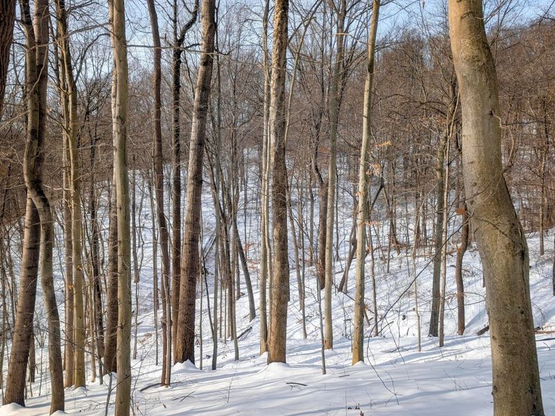 0 Tract 11 Miltonsburg-Calais , Woodsfield, OH 43793 Photo 23