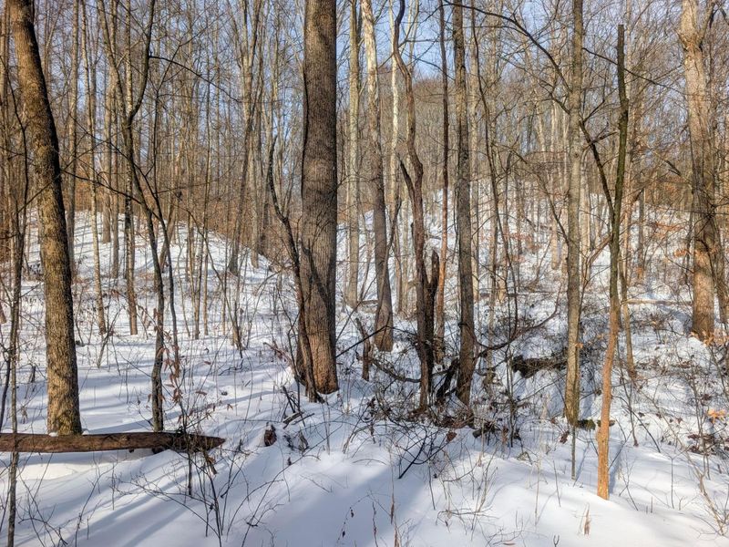 0 Tract 11 Miltonsburg-Calais , Woodsfield, OH 43793 Photo 24