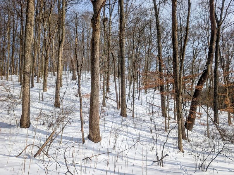 0 Tract 11 Miltonsburg-Calais , Woodsfield, OH 43793 Photo 26