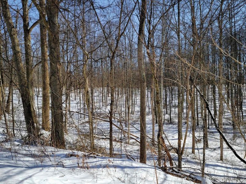 0 Tract 11 Miltonsburg-Calais , Woodsfield, OH 43793 Photo 28