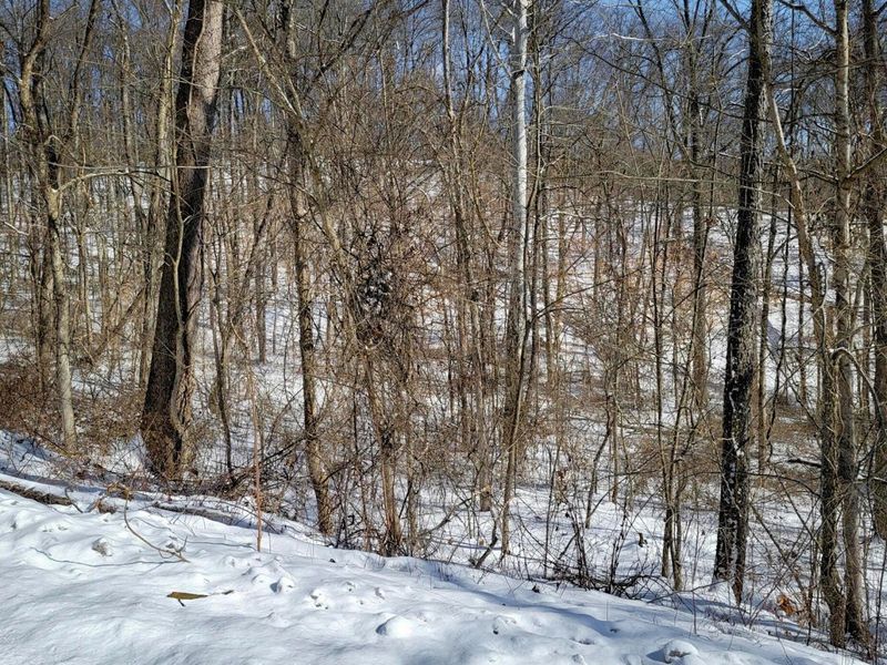 0 Tract 11 Miltonsburg-Calais , Woodsfield, OH 43793 Photo 29