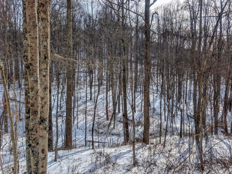 0 Tract 11 Miltonsburg-Calais , Woodsfield, OH 43793 Photo 3